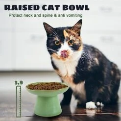 Wide Shallow 6.1" Raised Cat Bowls, Ceramic Elevated Food Bowl For Flat Faced Cats And Small Dogs, Porcelain Feeder Bowl, Stress Free, Protect Cat’s Spine, Green -Pet Products Shop 51eRp6sjwPL
