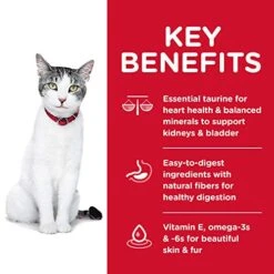 Hill's Science Diet Dry Cat Food, Adult 11+ For Senior Cats, Chicken Recipe, 3.5 Lb. Bag -Pet Products Shop 51enmUs6UKL