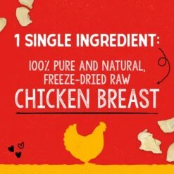 Stella & Chewy's Freeze-Dried Raw Single Ingredient Chicken Breast Treats, 2.75 Oz. Bag -Pet Products Shop 51f69trsVpL