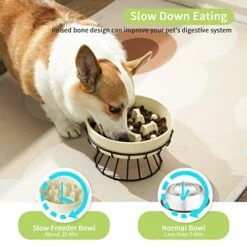 8.25'' Ceramic Slow Dog Bowl With Elevated Metal Stand, 1.75 Cups Non-Slip Puzzle Raised Dog Bowl Feeder, Slow Down Eating Anti-Choking Food Bowl Dish For Small And Medium & Large Dogs - Beige Color 14 8.25'' Ceramic Slow Dog Bowl With Elevated Metal Stand, 1.75 Cups Non-Slip Puzzle Raised Dog Bowl Feeder, Slow Down Eating Anti-Choking Food Bowl Dish For Small And Medium & Large Dogs - Beige Color -Pet Products Shop 51g9WL3Lk2L