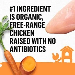 Beyond Purina Organic Pate Wet Cat Food Variety Pack, Organic Chicken Adult Recipes 11 Beyond Purina Organic Pate Wet Cat Food Variety Pack, Organic Chicken Adult Recipes -Pet Products Shop 51gdkjT4ZwL