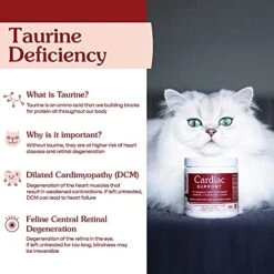 Fera Pets Cardiac Support Supplement For Dogs And Cats, Improves Blood Flow, Energy – With Taurine, CoQ10, Organic Hawthorn Berry, Supports Cardiovascular Heart Health – 60 Capsules 13 Fera Pets Cardiac Support Supplement For Dogs And Cats, Improves Blood Flow, Energy – With Taurine, CoQ10, Organic Hawthorn Berry, Supports Cardiovascular Heart Health – 60 Capsules -Pet Products Shop 51gtQrfibvL