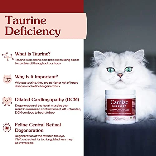 Fera Pets Cardiac Support Supplement For Dogs And Cats, Improves Blood Flow, Energy – With Taurine, CoQ10, Organic Hawthorn Berry, Supports Cardiovascular Heart Health – 60 Capsules 7 Fera Pets Cardiac Support Supplement For Dogs And Cats, Improves Blood Flow, Energy – With Taurine, CoQ10, Organic Hawthorn Berry, Supports Cardiovascular Heart Health – 60 Capsules - Image 5