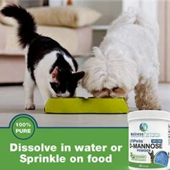 WellnessPartners UTI Pets Pure D-Mannose Non GMO Organic Source Powder 65gram Jar -Pet Products Shop 51gviN7mnJL