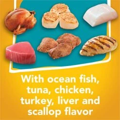 Purina Friskies Gravy Wet Cat Food Variety Pack, Tasty Treasures Prime Filets - (24) 5.5 Oz. Cans -Pet Products Shop 51gzfrEoOAL