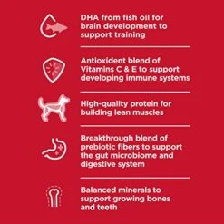 Hill's Science Diet Kitten Ocean Fish & Brown Rice Recipe Dry Cat Food, 3.5 Lb. Bag -Pet Products Shop 51h8dUbO1lL