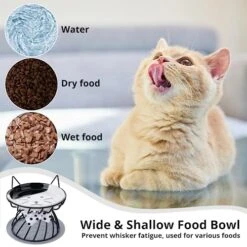 Dorakitten 2Pcs Elevated Cat Bowls With Non-Slip Mat, Protects Cat’s Spine, Anti-Vomiting Raised Cat Food Plates With Cute Cat Ear Stand, Shallow & Wide Ceramic Cat Dishes To Prevent Whisker Fatigue -Pet Products Shop 51hdlGw7S2L