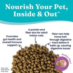 Solid Gold Indoor Dry Cat Food - Let's Stay In Cat Food Dry Kibble For Indoor Cats - Hairball & Sensitive Stomach - Grain & Gluten Free - Probiotics & Fiber For Digestive Health - Chicken - 12lb -Pet Products Shop 51hsb7qnc7L 1