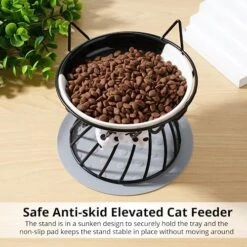 Dorakitten 2Pcs Elevated Cat Bowls With Non-Slip Mat, Protects Cat’s Spine, Anti-Vomiting Raised Cat Food Plates With Cute Cat Ear Stand, Shallow & Wide Ceramic Cat Dishes To Prevent Whisker Fatigue -Pet Products Shop 51iStTWA1GL