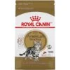 Royal Canin American Shorthair Breed Adult Dry Cat Food, 5.5 Lb Bag