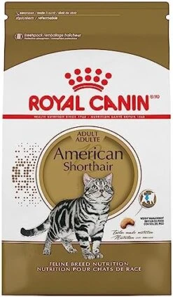 Royal Canin American Shorthair Breed Adult Dry Cat Food, 5.5 Lb Bag 9 Royal Canin American Shorthair Breed Adult Dry Cat Food, 5.5 Lb Bag -Pet Products Shop 51kAAZQVZML. AC