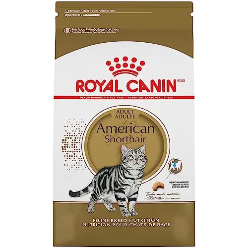 Royal Canin American Shorthair Breed Adult Dry Cat Food, 5.5 Lb Bag 3 Royal Canin American Shorthair Breed Adult Dry Cat Food, 5.5 Lb Bag