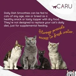 Caru - Daily Dish Smoothies - Lickable Chicken Cat Treat -  4 Pouches Per Pack - Pack Of 6 -Pet Products Shop 51kFBMBNY6L