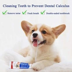 Bioline Dog Tooth Brushing Kit Teeth Cleaning Kit Tartar Control Toothpaste With 4 Toothbrush For Dogs Eliminates Bad Breath Orange Flavor -Pet Products Shop 51mFJPgmvlL