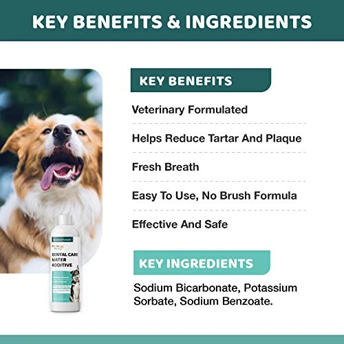 Wellnergy Pets Dental Care Water Additive For Dogs & Cats 2 Pack – No Brush Formula, Oral Hygiene & Fresh Breath, Reduce Plaque And Tartar. 16 FL OZ Each Bottle 6 Wellnergy Pets Dental Care Water Additive For Dogs & Cats 2 Pack – No Brush Formula, Oral Hygiene & Fresh Breath, Reduce Plaque And Tartar. 16 FL OZ Each Bottle - Image 4