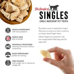 Grandma Lucy's Freeze-Dried Pollock Single Ingredient Dog And Cat Treats 1.5oz -Pet Products Shop 51nlIOEiEwL