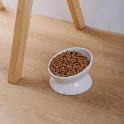 KITCHENLESTAR Cat Food Bowl 6", Elevated Tilted Cat Bowl, Raised Cat Bowls For Adult Cats Or Dogs, Ceramic Pet Food Water Dish 8 Oz, (White) 13 KITCHENLESTAR Cat Food Bowl 6", Elevated Tilted Cat Bowl, Raised Cat Bowls For Adult Cats Or Dogs, Ceramic Pet Food Water Dish 8 Oz, (White) -Pet Products Shop 51npRIwuS7L