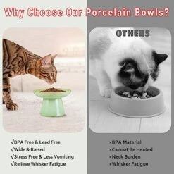 Wide Shallow 6.1" Raised Cat Bowls, Ceramic Elevated Food Bowl For Flat Faced Cats And Small Dogs, Porcelain Feeder Bowl, Stress Free, Protect Cat’s Spine, Green -Pet Products Shop 51ohm87iySL