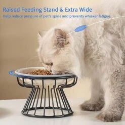 Elevated Cat Bowls,6.5" Extra Wide Raised Ceramic Cat Food Bowls With Anti-Slip Metal Stand Whisker Friendly Stainless Steel Pet Food Dishes For Indoor Cats And Small Dogs 10 Elevated Cat Bowls,6.5" Extra Wide Raised Ceramic Cat Food Bowls With Anti-Slip Metal Stand Whisker Friendly Stainless Steel Pet Food Dishes For Indoor Cats And Small Dogs -Pet Products Shop 51oxj4rgu5L