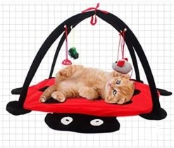 YangYan Foldable Kitten Tents Funny Pet Cat Tent Toys Pets Play Bed Toys Cat Play Mat Blanket House With Hanging Toy Cute Beetle Shape (Color : Red) -Pet Products Shop 51p5WnlNCSL. AC