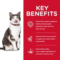 Hill's Science Diet Dry Cat Food, Adult 11+, Indoor, Chicken Recipe, 7 Lb. Bag 10 Hill's Science Diet Dry Cat Food, Adult 11+, Indoor, Chicken Recipe, 7 Lb. Bag -Pet Products Shop 51piXsndaGL