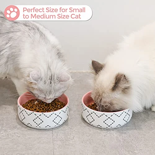 MSBC Ceramic Cat Bowls(13oz/390ml), Cute Cat Food And Water Feeder Set, Dog Cat Basic Bowl, Small Pet Feeding Dishes For Cat, Kitten, Small Dog, Whisker Stress Free, Dishwasher Safe, Set Of 2, Pink 7 MSBC Ceramic Cat Bowls(13oz/390ml), Cute Cat Food And Water Feeder Set, Dog Cat Basic Bowl, Small Pet Feeding Dishes For Cat, Kitten, Small Dog, Whisker Stress Free, Dishwasher Safe, Set Of 2, Pink - Image 5