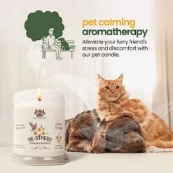 Gerrard Larriett - Deodorizing Soy Candles For Pets, Scented Candles For Removing Pet/Household Odors, Lasts Up To 40 Hours, White Candles For Home Scented With De-Stress Lavender & Chamomile Fragrance, 10 Oz 16 Gerrard Larriett - Deodorizing Soy Candles For Pets, Scented Candles For Removing Pet/Household Odors, Lasts Up To 40 Hours, White Candles For Home Scented With De-Stress Lavender & Chamomile Fragrance, 10 Oz -Pet Products Shop 51qSQmmjwuL
