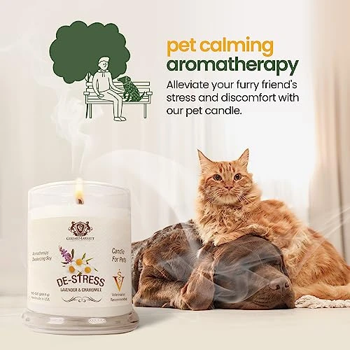 Gerrard Larriett - Deodorizing Soy Candles For Pets, Scented Candles For Removing Pet/Household Odors, Lasts Up To 40 Hours, White Candles For Home Scented With De-Stress Lavender & Chamomile Fragrance, 10 Oz 4 Gerrard Larriett - Deodorizing Soy Candles For Pets, Scented Candles For Removing Pet/Household Odors, Lasts Up To 40 Hours, White Candles For Home Scented With De-Stress Lavender & Chamomile Fragrance, 10 Oz - Image 2
