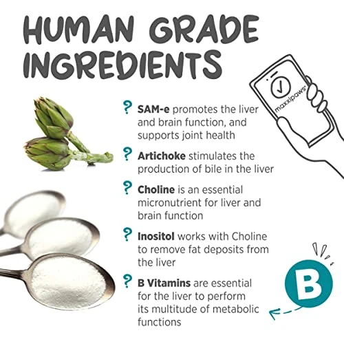 Maxxipaws MaxxiSAMe Advanced SAM-e Liver And Cognitive Supplement For Cats Given With Food, Powder 3.2 Oz 5 Maxxipaws MaxxiSAMe Advanced SAM-e Liver And Cognitive Supplement For Cats Given With Food, Powder 3.2 Oz - Image 4