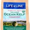 Life Line Pet Nutrition Organic Ocean Kelp Supplement For Skin & Coat, Digestion In Dogs & Cats, 5lb (20205) -Pet Products Shop 51r9Dtl1UAL