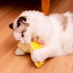 Durian Multifunctional Toys,Durian Cat Scratcher, Durian Shell Cat, Massaging And Removing Floating Hair Cat Dog Toys (2 Pcs) 16 Durian Multifunctional Toys,Durian Cat Scratcher, Durian Shell Cat, Massaging And Removing Floating Hair Cat Dog Toys (2 Pcs) -Pet Products Shop 51rRsW2ie3L