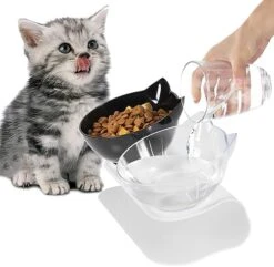 Cenivi Elevated Cat Bowls, Raised Cat Food Bowls, 15°Tilted Cat Bowls For Indoor Cats, Cat Food Water Bowls Set, Cat Bowls Elevated Tilted Whisker Friendly, Cute Cat Bowls Elevated, White 13 Cenivi Elevated Cat Bowls, Raised Cat Food Bowls, 15°Tilted Cat Bowls For Indoor Cats, Cat Food Water Bowls Set, Cat Bowls Elevated Tilted Whisker Friendly, Cute Cat Bowls Elevated, White -Pet Products Shop 51sCPxV YbL. AC
