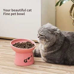Tilted Ceramic Raised Cat Bowls, 8 OZ Food And Water Bowls Set For Kitty, 5 In Porcelain Elevated Stress Free Feeding Pet Dish, Dishwasher And Microwave Safe (White & Pink) -Pet Products Shop 51sRV3t24ZL