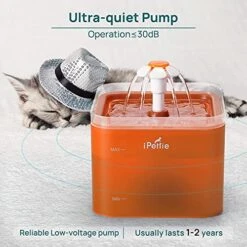 IPettie Neverland Cat Water Fountain With LED Light, 67oz/2.0L, Ultra Quiet Cat Drinking Fountain With Filter, Automatic Pet Water Fountain, Cat Fountain For Cats And Small Dogs, Orange 13 IPettie Neverland Cat Water Fountain With LED Light, 67oz/2.0L, Ultra Quiet Cat Drinking Fountain With Filter, Automatic Pet Water Fountain, Cat Fountain For Cats And Small Dogs, Orange -Pet Products Shop 51smef7EHgS