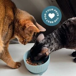 Silicone Non-Slip Small Pet Watering Bowl, Cat Food Bowl, Dog Feeding Bowl, Kitten Feeding Bowl (SoftPink) -Pet Products Shop 51tOMihEOvL