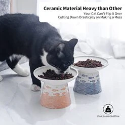 6.25 Inch Extra Wide Ceramic Raised Cat Food Bowls, Elevated Porcelain Cat Feeding Dish, Heavy Pet Feeder Bowl For Elder Big Cats,Small Dogs, Anti Vomiting, Protect Pet's Spine, 2 Pack(Blue&Orange) -Pet Products Shop 51tefUYaCIL