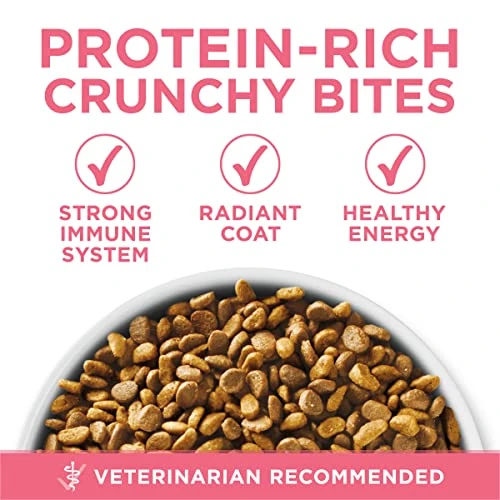Purina ONE High Protein, Natural Dry Kitten Food, +Plus Healthy Kitten Formula - 16 Lb. Bag 4 Purina ONE High Protein, Natural Dry Kitten Food, +Plus Healthy Kitten Formula - 16 Lb. Bag - Image 2