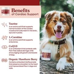 Fera Pets Cardiac Support Supplement For Dogs And Cats, Improves Blood Flow, Energy – With Taurine, CoQ10, Organic Hawthorn Berry, Supports Cardiovascular Heart Health – 60 Capsules 12 Fera Pets Cardiac Support Supplement For Dogs And Cats, Improves Blood Flow, Energy – With Taurine, CoQ10, Organic Hawthorn Berry, Supports Cardiovascular Heart Health – 60 Capsules -Pet Products Shop 51uKUZzyoeL