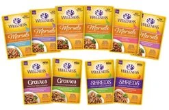 Wellness Healthy Indulgence Wet Cat Food Pouch Variety Pack, 10 Flavors, 3-Ounces Each (10 Pack)