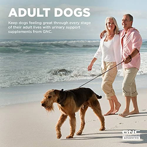 GNC For Pets Advanced Urinary Support For Dogs | Soft Chew Dog Supplement For All Dogs Urinary Tract Support | 60ct Soft Chews Chicken Flavor Dog Supplement For Urinary Health 4 GNC For Pets Advanced Urinary Support For Dogs | Soft Chew Dog Supplement For All Dogs Urinary Tract Support | 60ct Soft Chews Chicken Flavor Dog Supplement For Urinary Health - Image 2