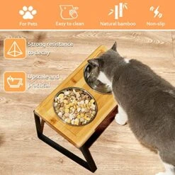 Elevated Cat Bowls, Cat Bowls, 15° Tilted Raised Food Feeding Dishes,Customized Height Wall Mounted Elevated Pet Feeder, Bamboo Elevated Pet Feed Bowl Food For Cats And Puppy -Pet Products Shop 51uqkjAImQL