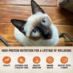 Wellness CORE Grain-Free Wet Cat Food, Natural Canned Food For Cats, Made With Real Meat (Chicken, Turkey & Chicken Liver Pate, 3 Oz Cans, Pack Of 12) -Pet Products Shop 51vsu1qmumL