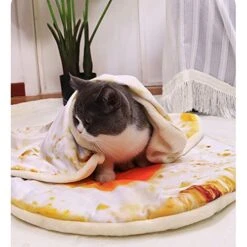 1pc Short Plush Pet Mat Durable Poached Eggs Blanket Mats For Small Dog And Cat Cute Omelette Pet Blankets Puppy Cat (Color : Pizza Blanket, Size : XS) -Pet Products Shop 51w0jhmeFsL