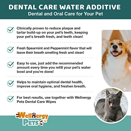 Wellnergy Pets Dental Care Water Additive For Dogs & Cats 2 Pack – No Brush Formula, Oral Hygiene & Fresh Breath, Reduce Plaque And Tartar. 16 FL OZ Each Bottle 5 Wellnergy Pets Dental Care Water Additive For Dogs & Cats 2 Pack – No Brush Formula, Oral Hygiene & Fresh Breath, Reduce Plaque And Tartar. 16 FL OZ Each Bottle - Image 3