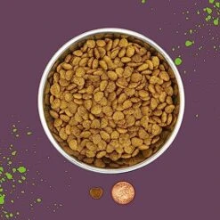 Benevo Vegan Cat Food For Adult Cats 2kg. Holistic, Meat-Free, Complete, Non-gm Dry Food Kibble For Your Cat. Award Winning Vegan Pet Food Made In The UK. -Pet Products Shop 51wEMkTvSLL