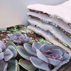 GENERIC Yellow Ultra Soft Thick Flannel Dog Cat Bed Mats Breakfast Food Cartoon Like Image Soft Warm Puppy Blanket Cover Dog Cat Fluffy Fur Blanket Sleep Fast Food Dessert 22" X 28" -Pet Products Shop 51wLFwiXKNL. AC