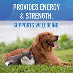 Monument Big Sky Treats For Dogs And Cats - NutrientLock Freeze Dried Dog Treats And Cat Treats Protein, All Natural, Limited Ingredients, Made In The USA 13 Monument Big Sky Treats For Dogs And Cats - NutrientLock Freeze Dried Dog Treats And Cat Treats Protein, All Natural, Limited Ingredients, Made In The USA -Pet Products Shop 51x9CjMh2AL