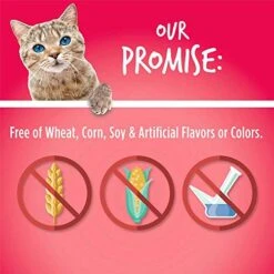 Fruitables Cat Treats – Crunchy Treats For Cats – Healthy Low Calorie Treats Packed With Protein – Free Of Wheat, Corn And Soy – Made With Real Salmon With Cranberry – 30 Ounces -Pet Products Shop 51y915nhYrL
