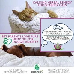 [236,000mg] Organic Hemp Oil For Dogs And Cats - Joint Pain Relief Arthritis Supplement - Natural Support For Separation Relief - Calming Aid Pets Love - From Canadian Crops - 8oz -Pet Products Shop 51yydekYAgL