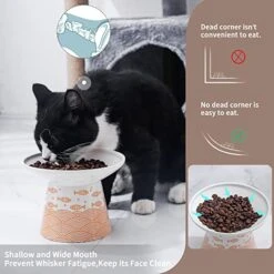 6.25 Inch Extra Wide Ceramic Raised Cat Food Bowls, Elevated Porcelain Cat Feeding Dish, Heavy Pet Feeder Bowl For Elder Big Cats,Small Dogs, Anti Vomiting, Protect Pet's Spine, 2 Pack(Blue&Orange) -Pet Products Shop 51zbL5Wpp2L